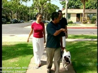Cesar Millan on His Dog Training Philosophy