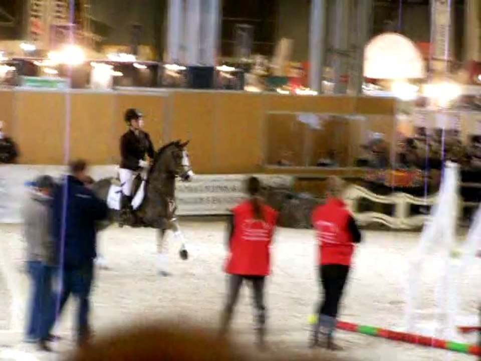 Les trois étalons sur le petit Oxer....