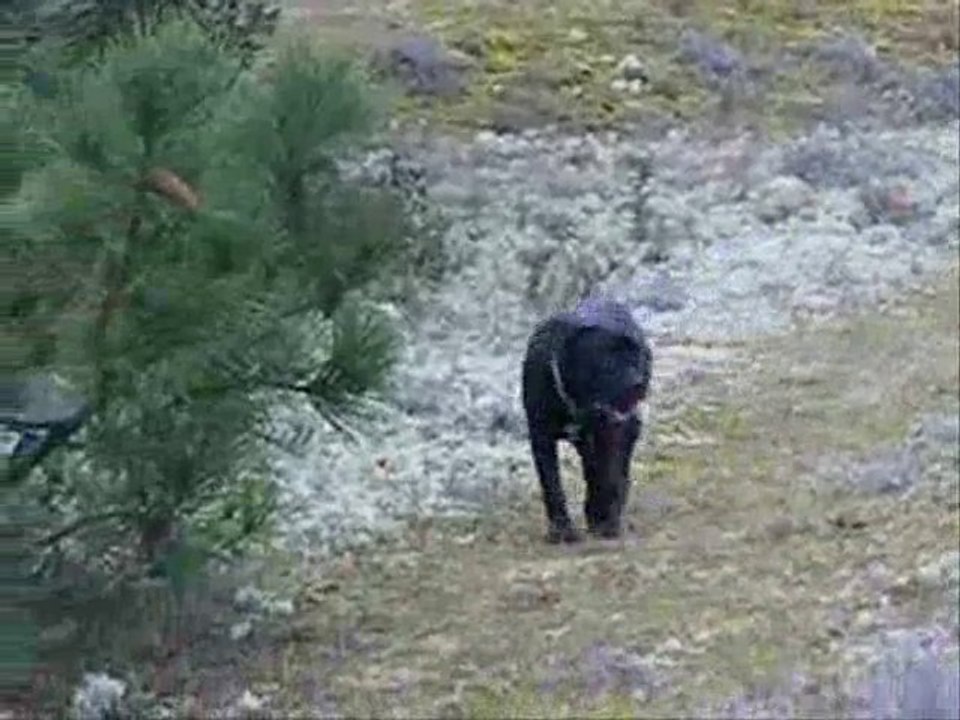 Djoukel, Bounty et Véga le 10 03 2009