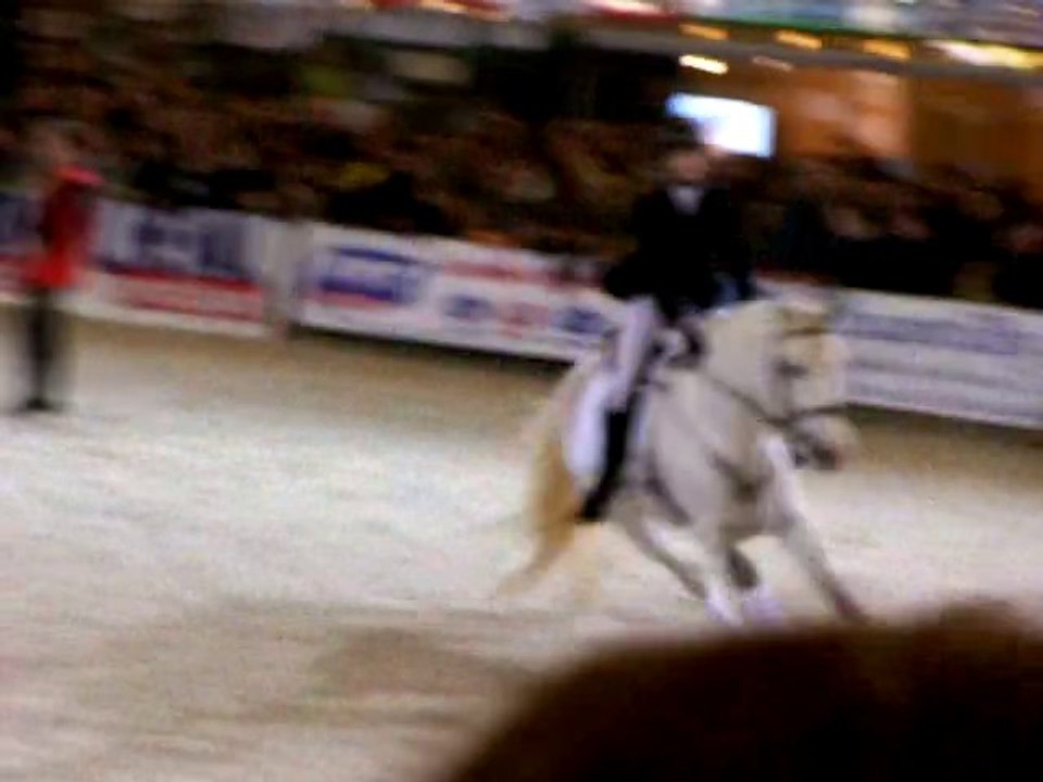 Passage sur le gros Oxer pour Irish drew drop.....parade SL!