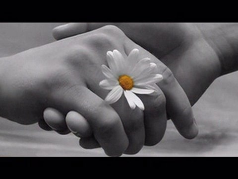 nilüfer - unut gitsin - öykü gülen güven