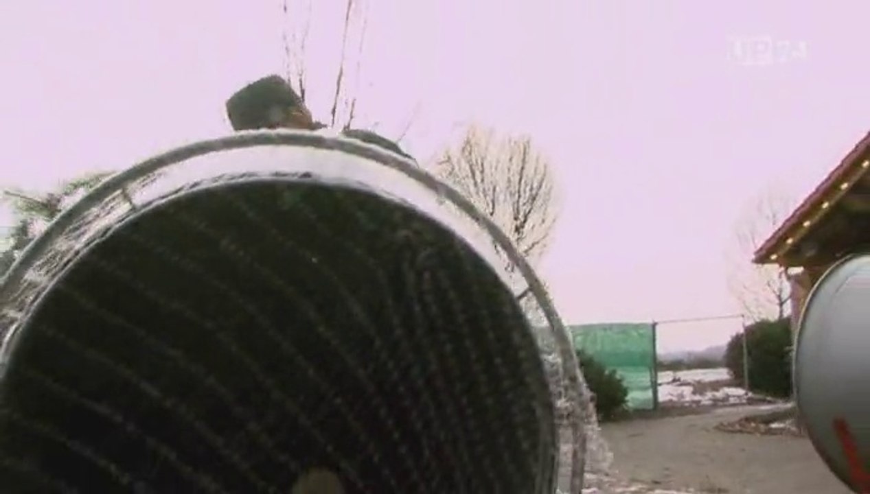 UP24.TV Oh Tannenbaum! (DE)