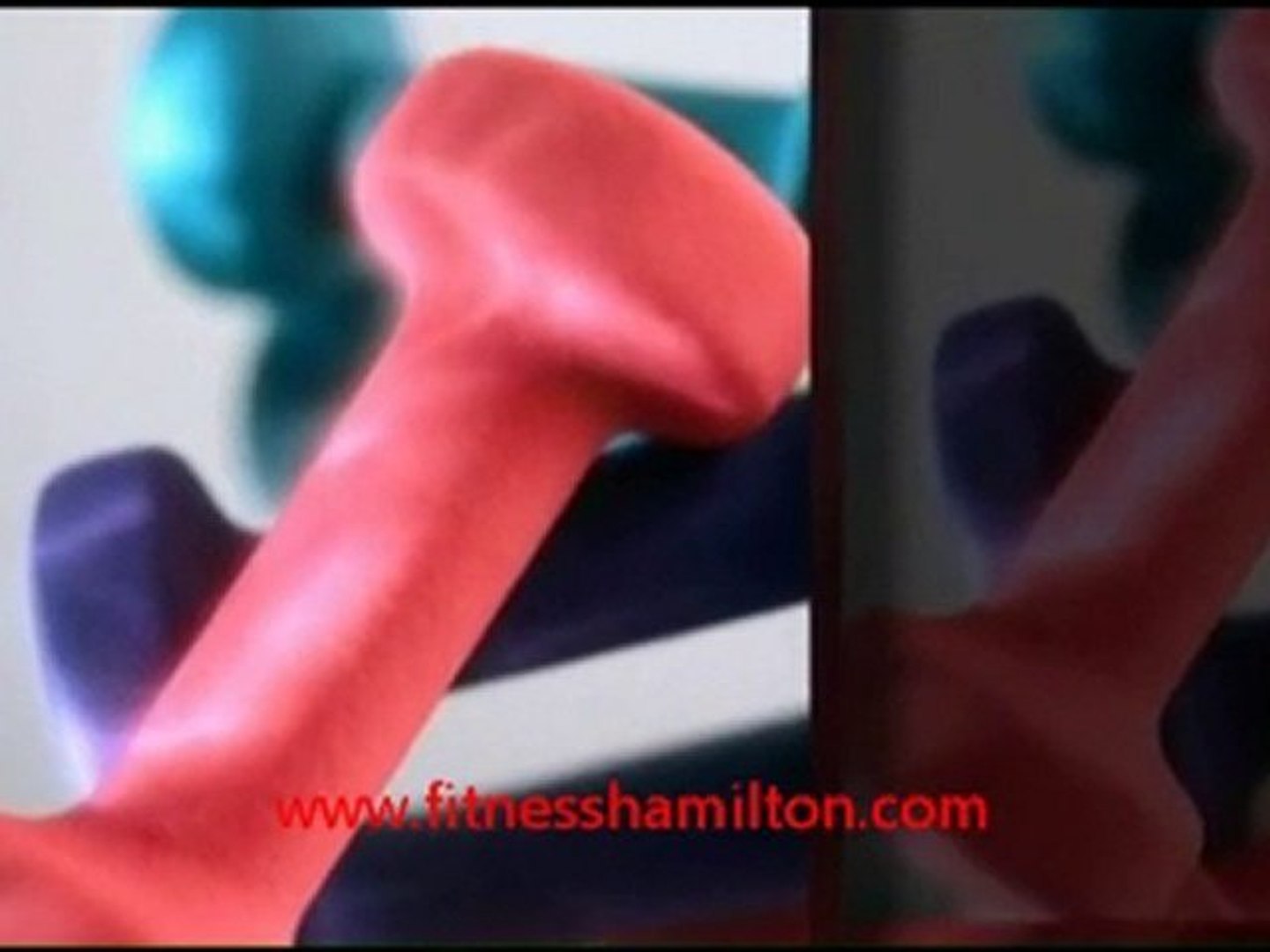 ⁣Fitness Hamilton - Choosing a Hamilton Fitness Trainer