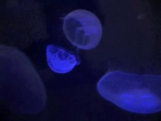 HOTEL TAGAWA # Bande-Annonce