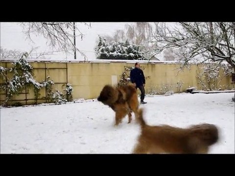 Effet boules de neige