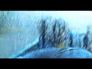 Cottage Chaos 2010 - The Car Wash