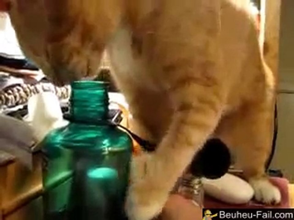 Kitty Really Want to Drink