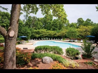 Springwoods at Lake Ridge Apartments - Woodbridge, VA