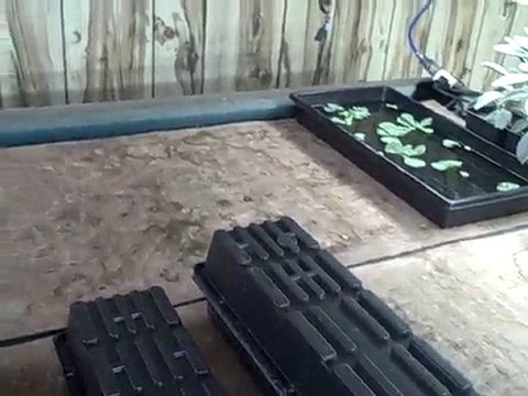 Growing Your Own Seed Indoors - Seed Starting Equipment