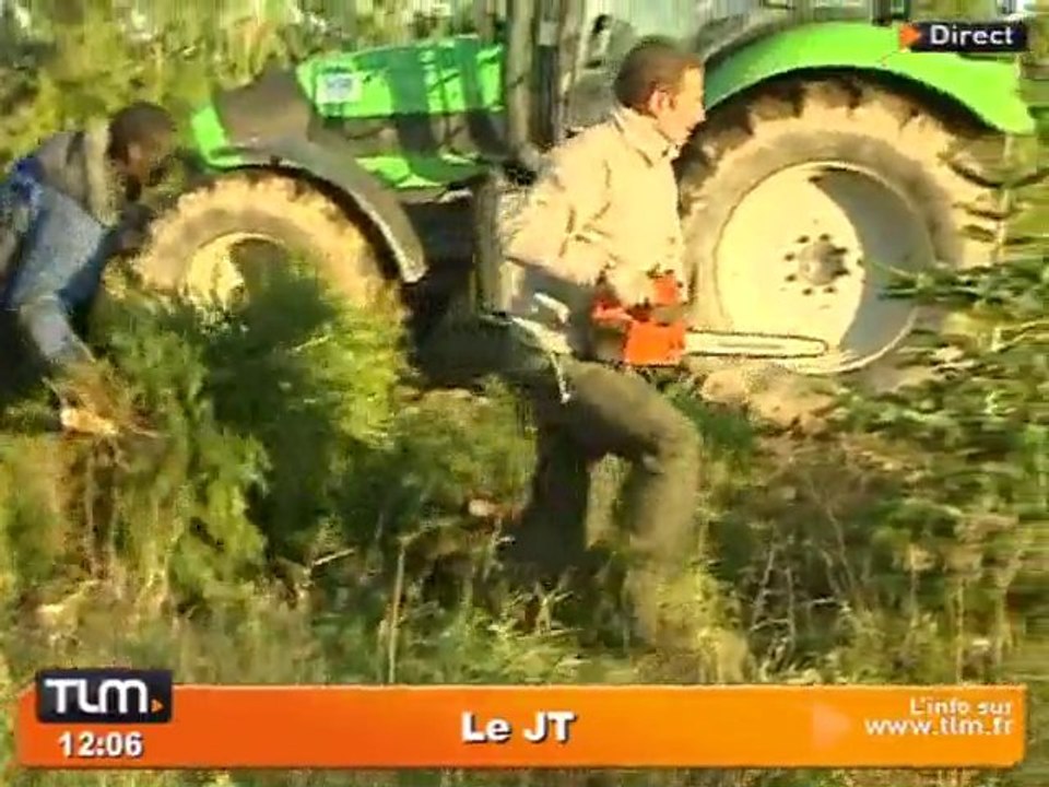 Les sapins sortent du bois! (Lyon)