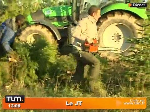 Les sapins sortent du bois! (Lyon)