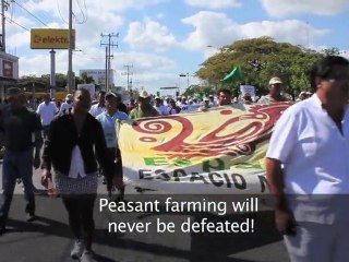 La Via Campesina March for Climate Justice in Cancun, ...