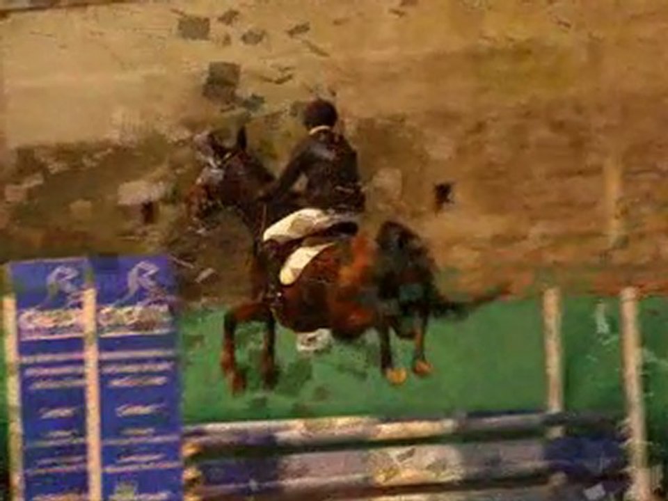28-11-10 Niort concours de saut