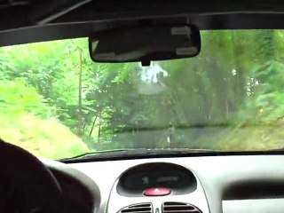 rallye kaltbec 2010 206 CC F2/13