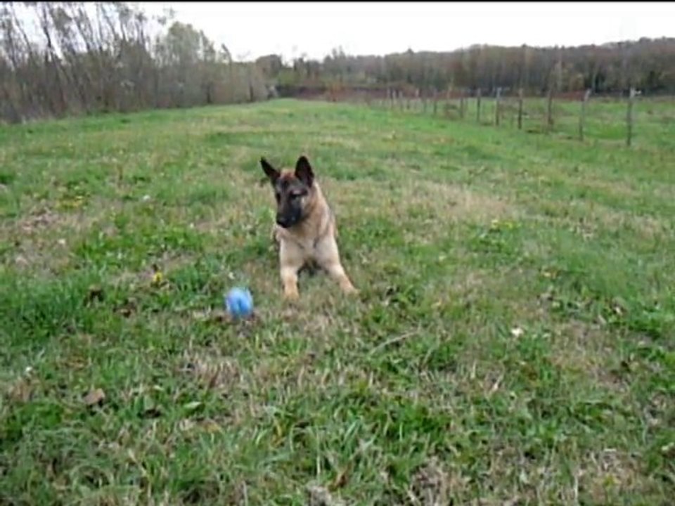 Les supplices d'Elou ^^