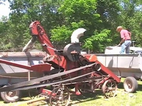 Homesteading & Farming Activities