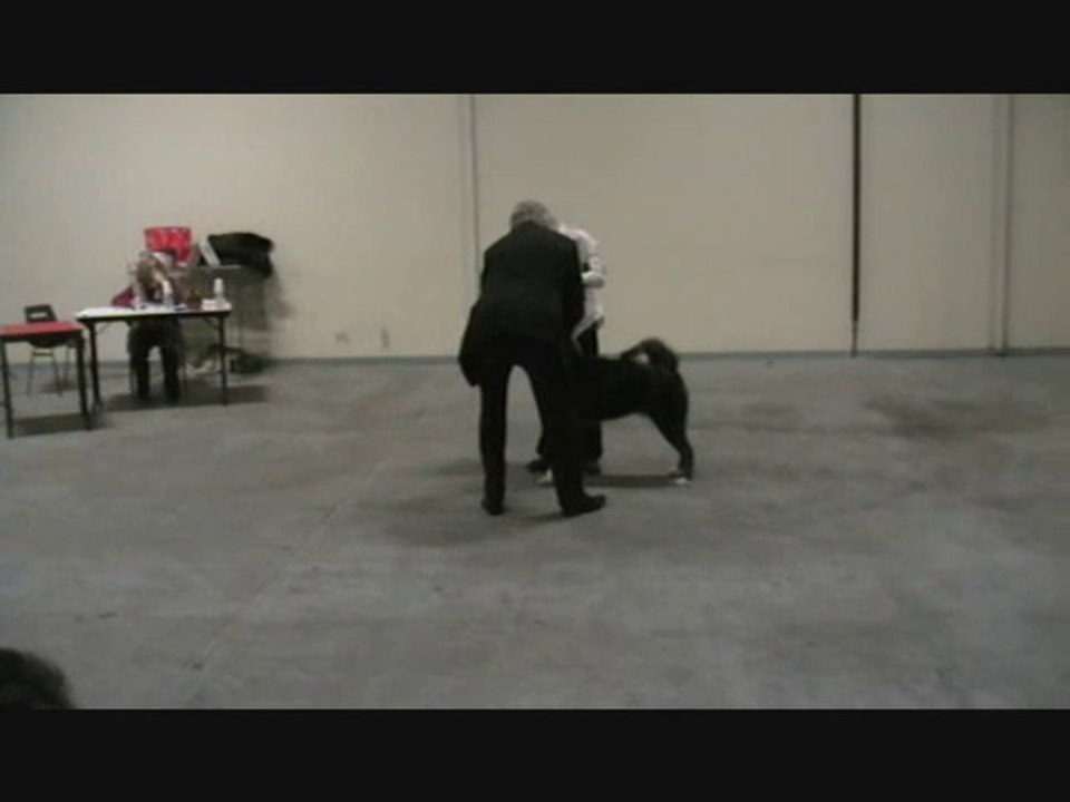 expo de LVAL 2010 12.28