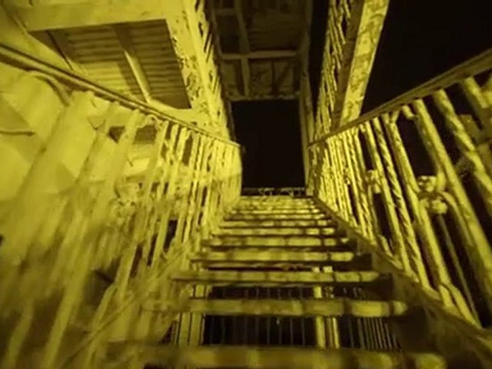 Insight Trailer