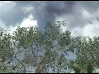 Black Ops  Nice Tommy across map) (must watch)