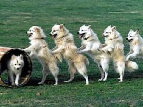 Causes, Symptoms, Living With Type 2 Diabetes