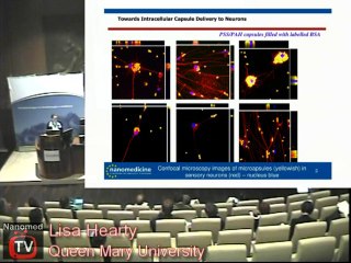 Lisa Hearty Drug Delivery to the CNS