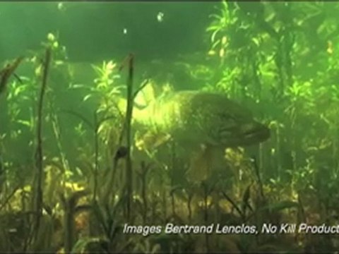 Trophées de l'eau- La Fédération de pêche du Lot récompensée