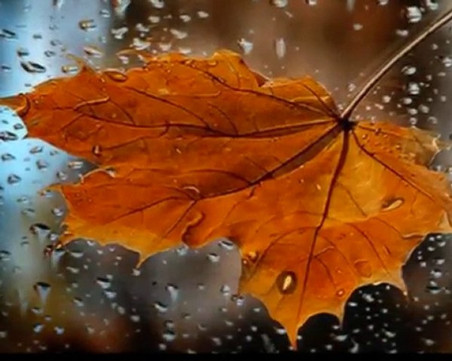 Gökçe Kırgız...Kalbime gömerim o zaman