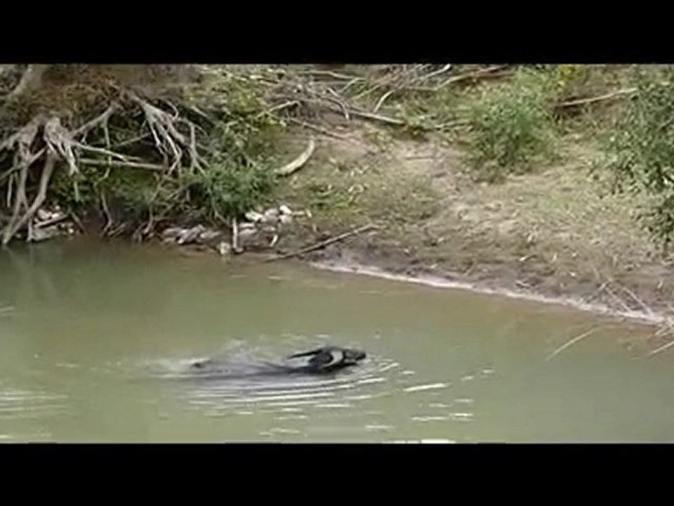 Sapa Vietnam motorbike motorcycle tours with Lotussia Travel