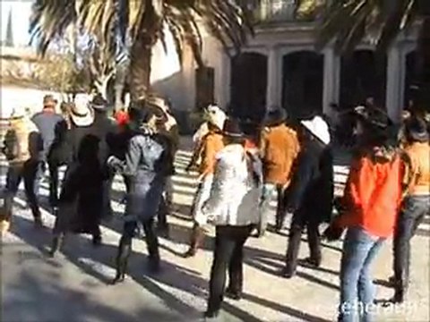 TELETHON MEZE 2010 (2)