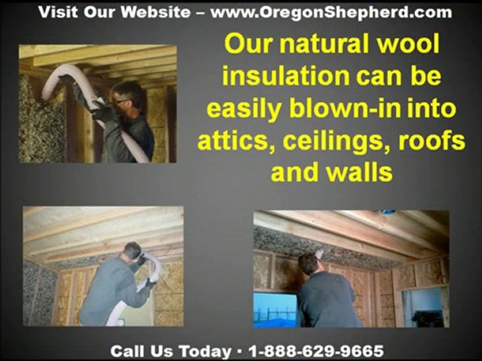 Alternative Insulation Products, Alternative Insulation Sol