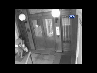 Jovem espanca cão porque teve 'dia ruim'