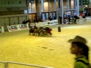 super chouettes les animations au théatre équestre !!!