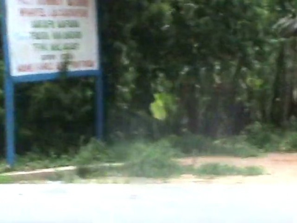 TAXI- BROUSSE   R N 7