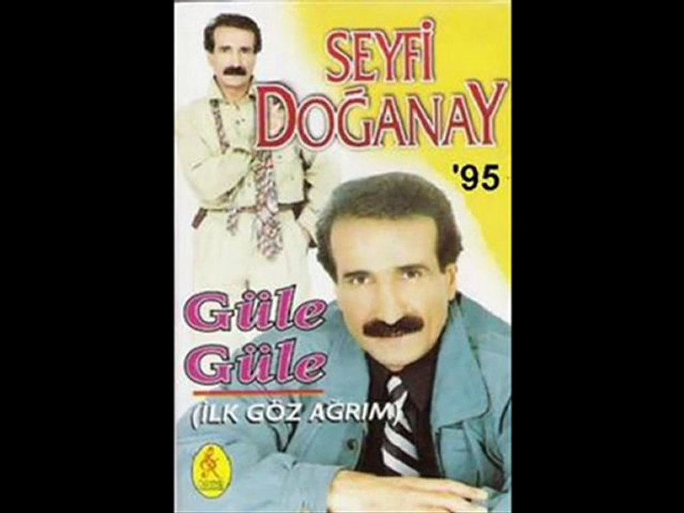 Seyfi Doğanay - Hain