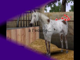 mission equitation online