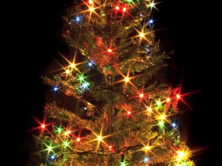 Gaming France Fin 2010