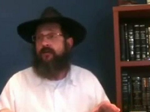 Rav Dynovisz la révolte devant l'épreuve