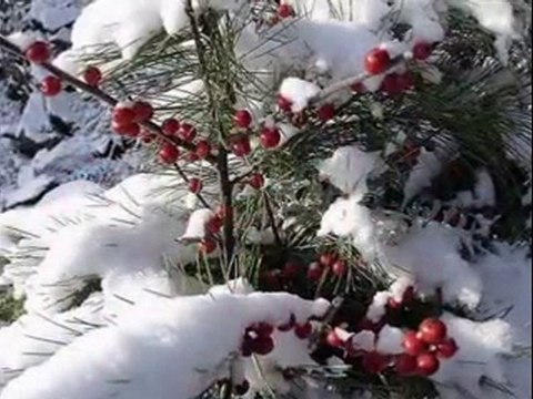 YouTube - ERNESTO CORTAZAR - Eternity