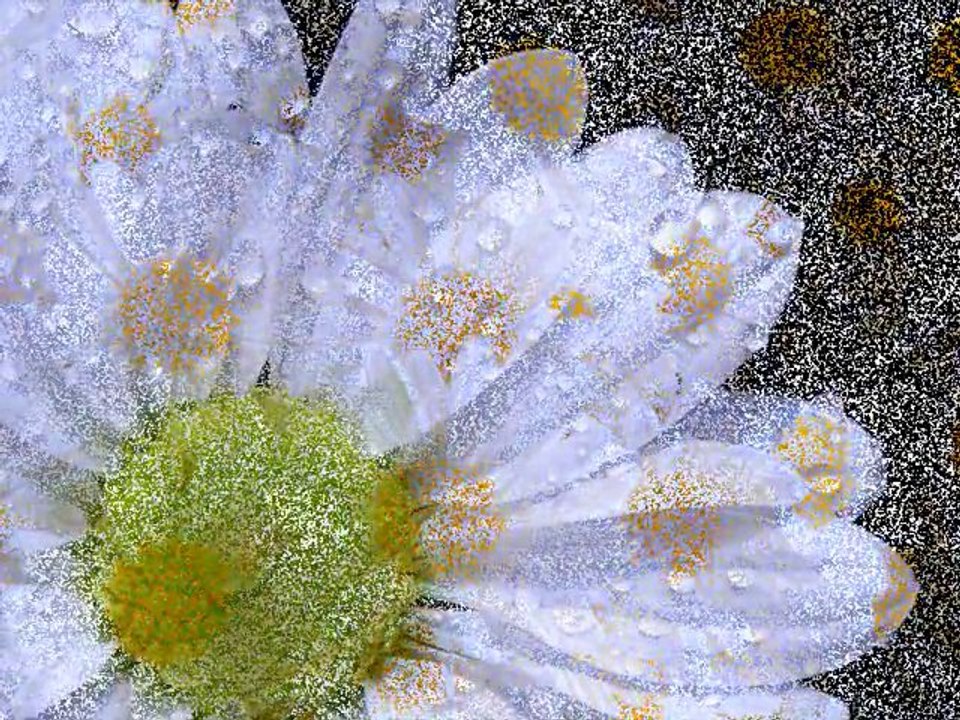 Korkmuyorum Seni Sevmekten / Neslihan Akay