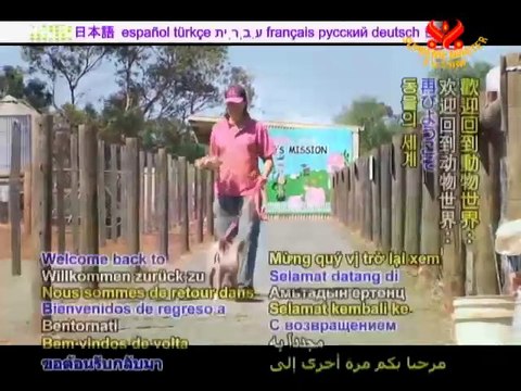 A Tribute to Our Amazing Friends: Farm Animals