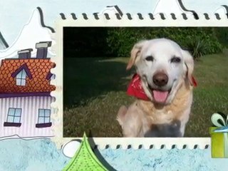 MON PETIT LOUP !!! JE T AIME