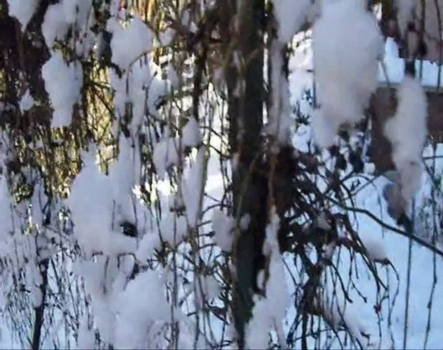 Mon Bonhomme de neige et son message aux globalistes!