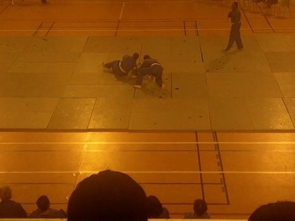 Vovinam Viet Vo Dao démonstration ciseaux