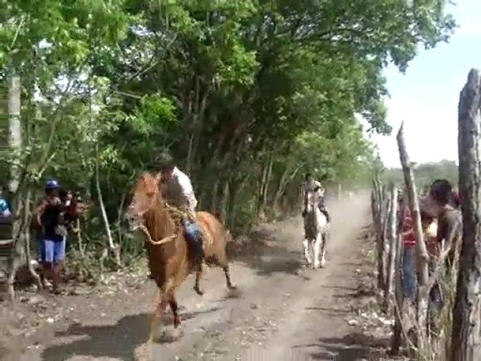 carrera chepo