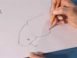 How To Draw A Koi Fish