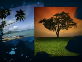 Como Hacer Dinero En Internet ?