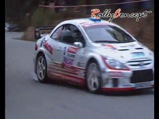 Rallye du Var 2010