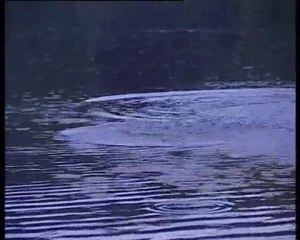 Рыбачьте с нами (Лещ) rybalka.lt