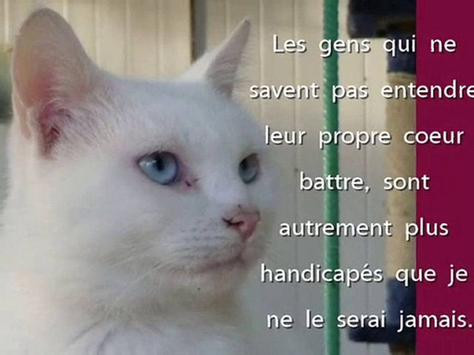 Chopin