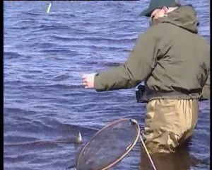 Рыбачьте с нами (Плотва- Лещ) rybalka.lt